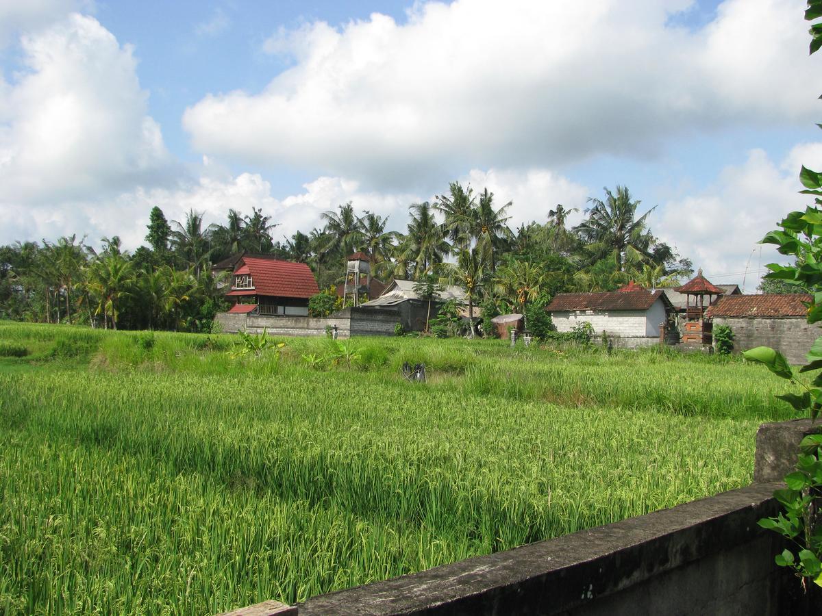 Pondok Mesari House Ubud Exterior foto